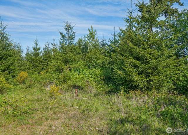 Property at 143 Bootjack Ln Lot 2, Kelso, WA 98626