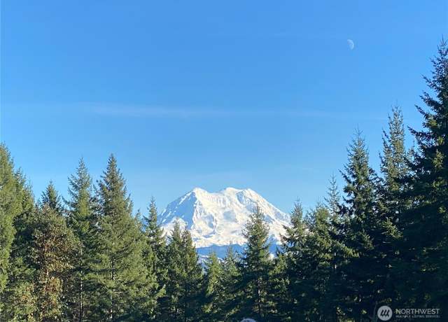Property at 0 XXX Roedomsky Rd E, Eatonville, WA 98328