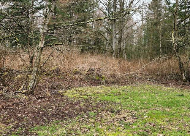 Property at 0 Valley View Lot 2 Rd, Ferndale, WA 98248