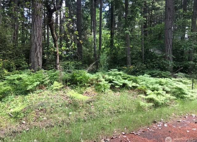 Property at 11205 110th St, Anderson Island, WA 98303