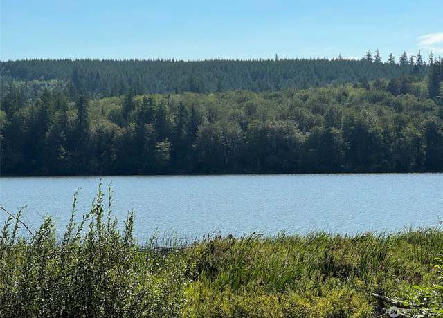 Property at 9999 NKA E Snow Creek Way, Quilcene, WA 98376