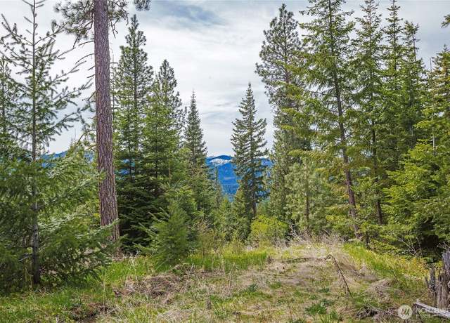Property at 0 Lot H R&R Heights Dr, Roslyn, WA 98941