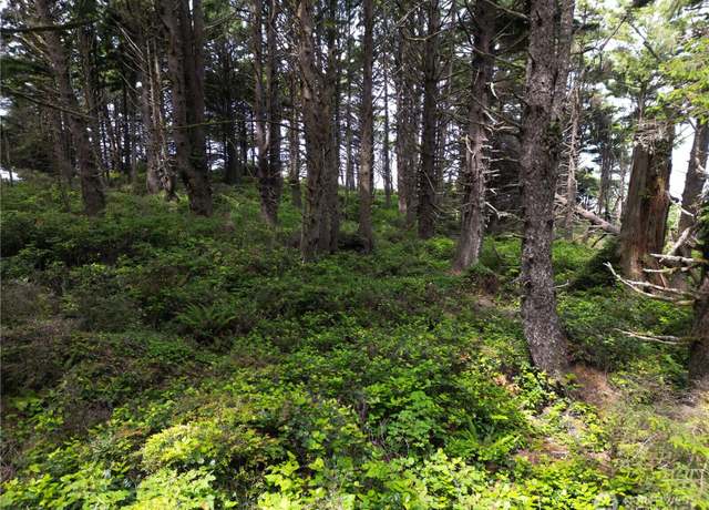 Property at 57 Koala Ln, Pacific Beach, WA 98571