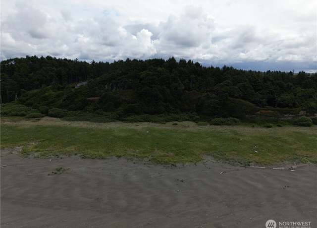 Property at 57 Koala Ln, Pacific Beach, WA 98571