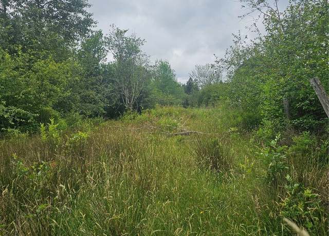 Property at 565 Oyler Rd, Ethel, WA 98542