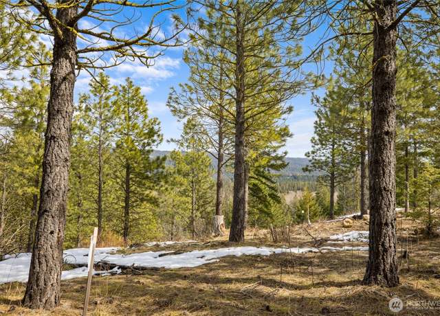 Property at 541 Gold Leaf Ln, Cle Elum, WA 98922