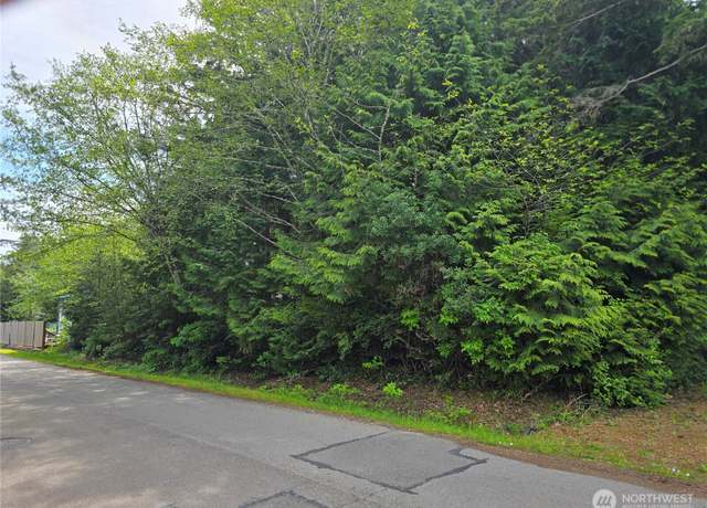 Property at 0 xxx Paradise Ln, Pacific Beach, WA 98571