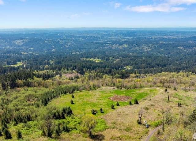 Property at 0 NE Alvas Rd, Battle Ground, WA 98604