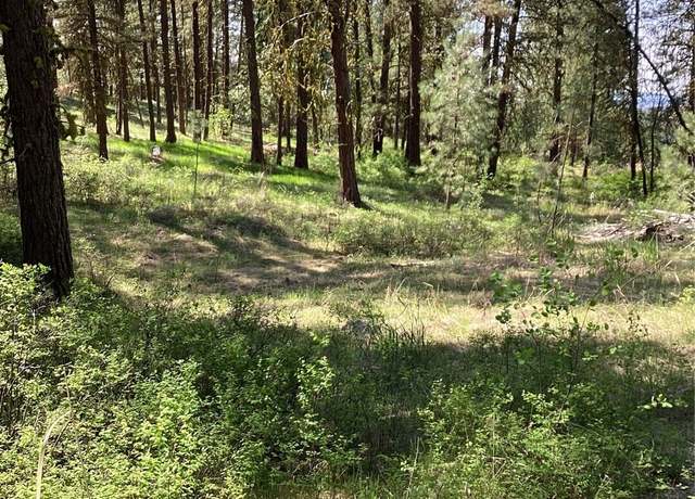 Property at 19 Lot, Doe Ln, Tonasket, WA 98855