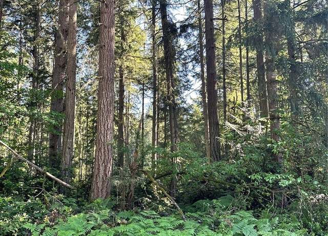 Property at 11416 Yoman Rd, Anderson Island, WA 98303