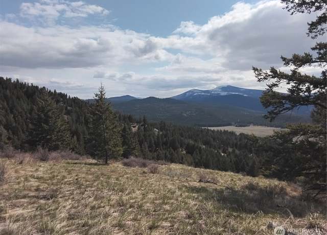 Property at 26 Mule Deer Ridge Rd, Oroville, WA 98844