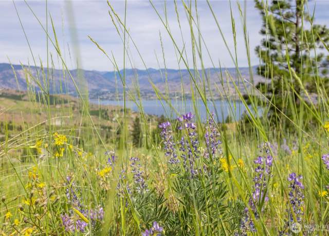Property at 23 Eagle Crest  (Lot 23) Rd, Chelan, WA 98816