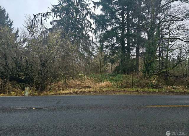 Property at 0 State Route 105, Grayland, WA 98547
