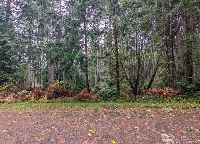 Property at 11412 Admiralty Way, Anderson Island, WA 98303