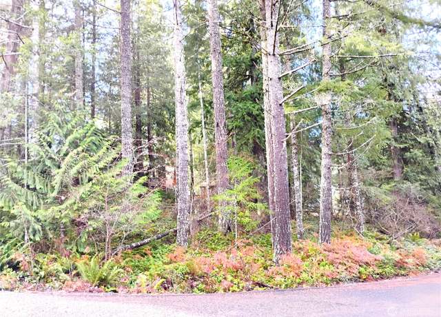 Property at 78 Fir Park Ln, Packwood, WA 98361
