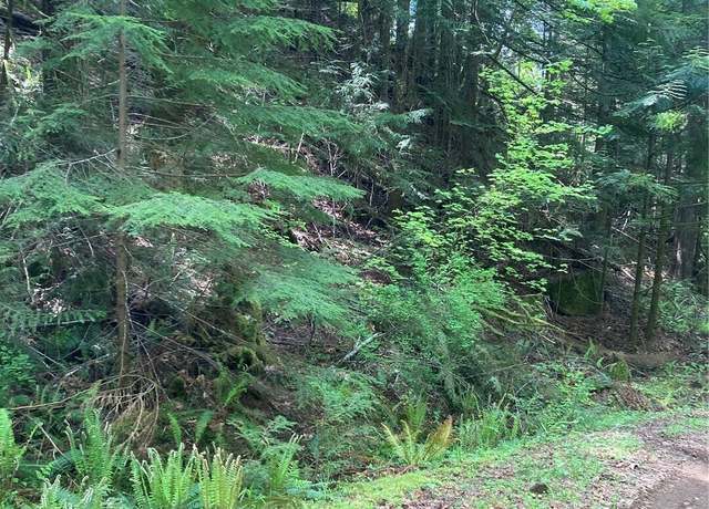 Property at 12 Dow Ridge Rd, Hoodsport, WA 98548