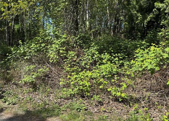 Property at 101 XX 221st Ave E, Bonney Lake, WA 98391