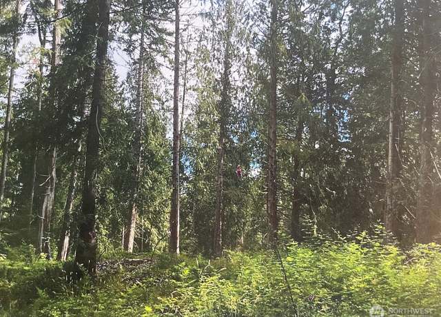Property at 28 XXX SE Mud Mountain Rd, Enumclaw, WA 98022
