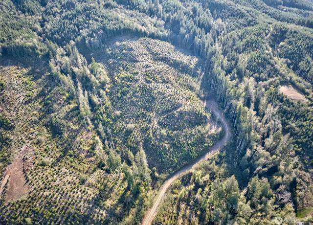 Property at 0 Tract 2A South Valley Rd, Naselle, WA 98638