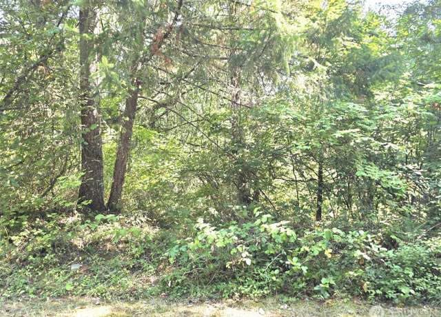 Property at 21815 Beachside Dr SE, Yelm, WA 98597