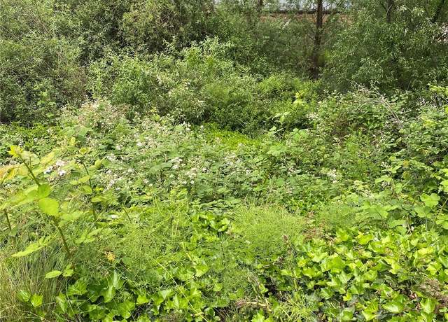 Property at 0 Cowlitz St E, Castle Rock, WA 98611