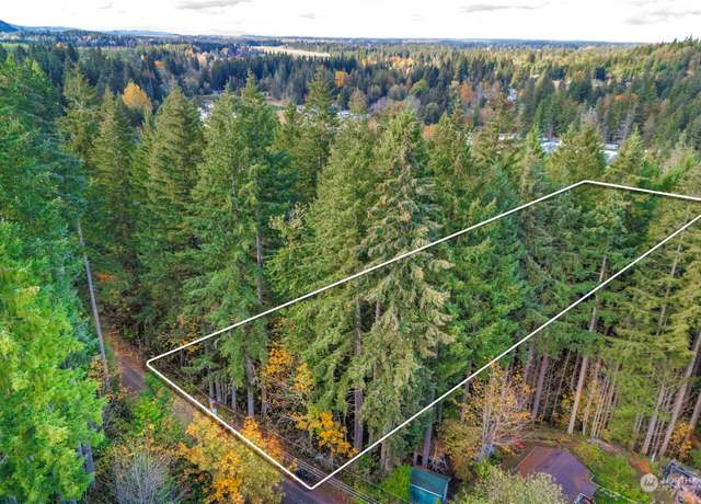 Property at 0 Slough Ln SE, Yelm, WA 98597