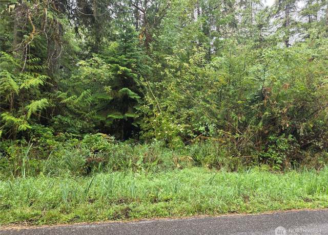Property at 1581 E PHILLIPS LAKE LOOP Rd, Shelton, WA 98584