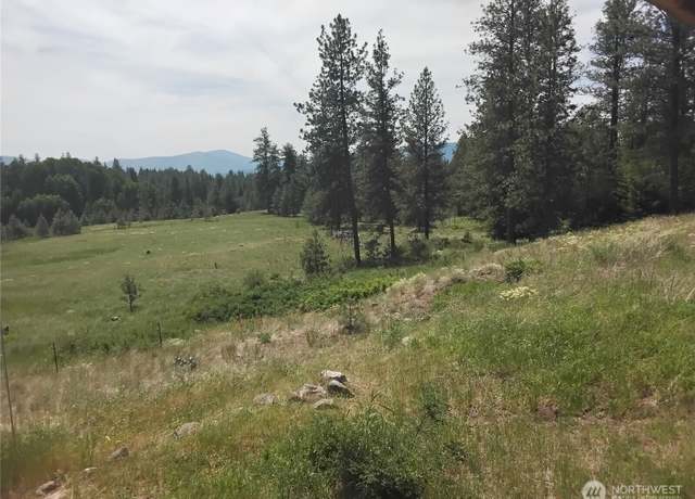 Property at 193 Blue Meadows Rd, Tonasket, WA 98855, 1 bath