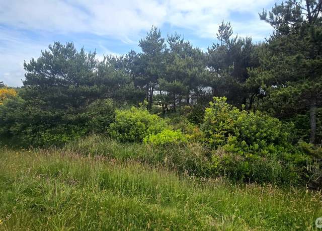 Property at 788 S Sand Dune Ave, Ocean Shores, WA 98569