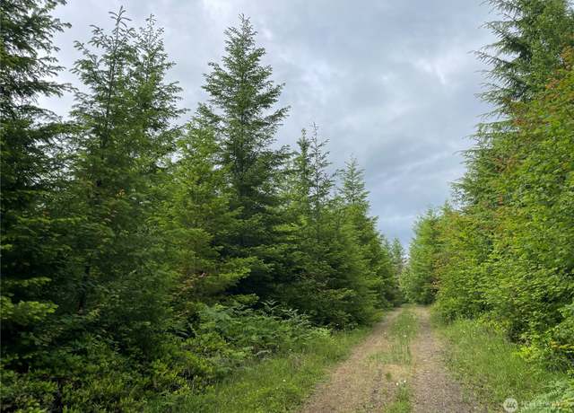 Property at 0 George Taylor Rd, Silverlake, WA 98645
