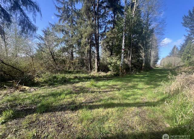 Property at 0 3rd St, Cosmopolis, WA 98537