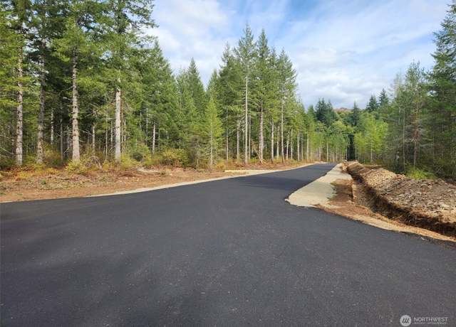 Property at 0 Lot 5 Div 1 Raven Ln, Elma, WA 98541