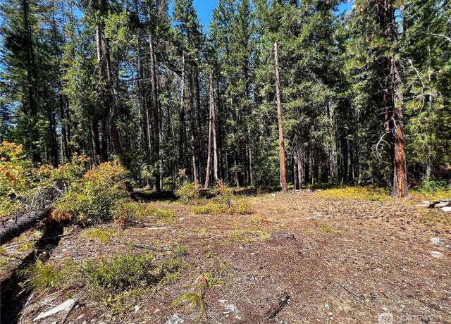 Property at 37 Noble Ln, Leavenworth, WA 98826