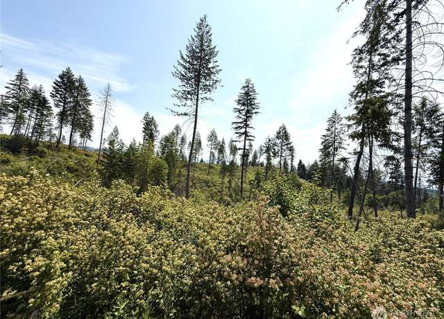 Property at 0 Lot 1 Rockabye Ln, Curlew, WA 99118