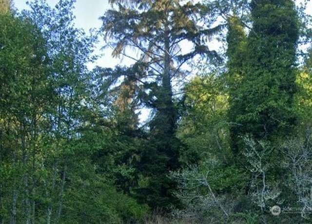 Property at 0 Cosgrove St, Hoquiam, WA 98550