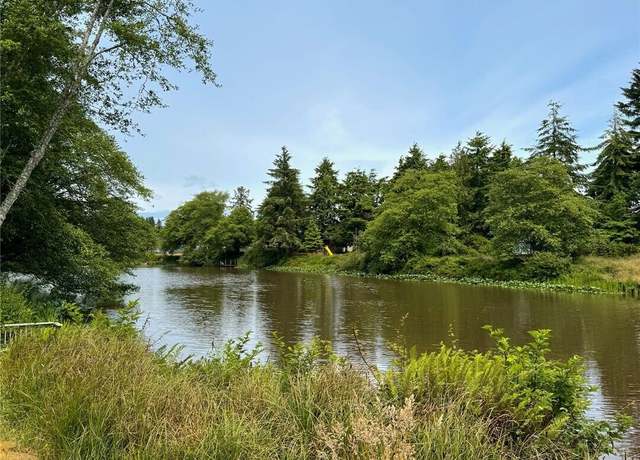 Property at 430 Dolphin Ave NE, Ocean Shores, WA 98569