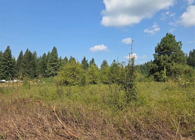 Property at 0 Double O Rd, Ronald, WA 98940