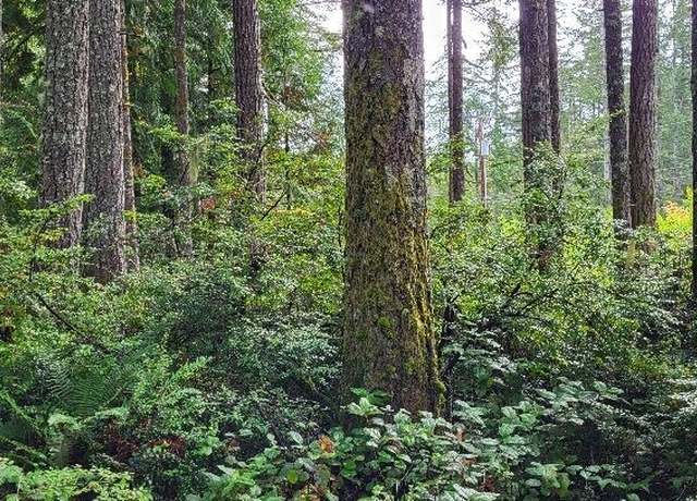 Property at 0 NW Holly Rd, Seabeck, WA 98380