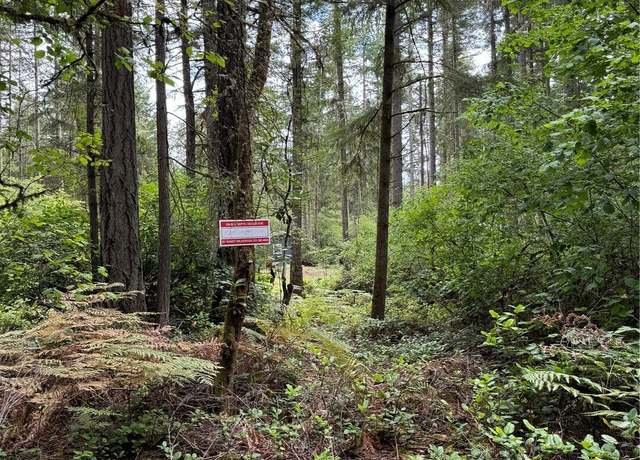 Property at 11913 Country Club Dr, Anderson Island, WA 98303