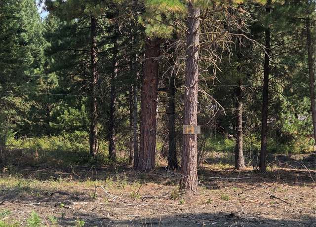 Property at 0 Bitterroot, Ronald, WA 98940