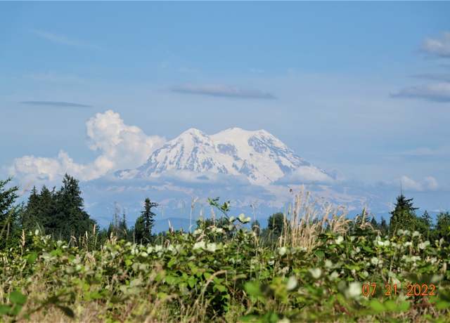 Property at 13918 Old Farm Ln SE, Yelm, WA 98597