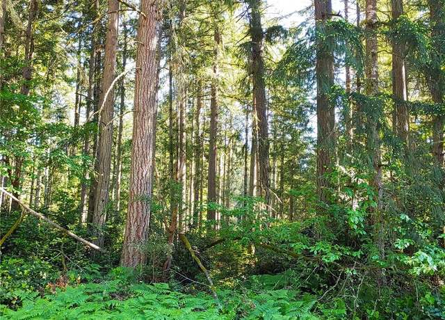 Property at 11203 Juniper Pl, Anderson Island, WA 98303
