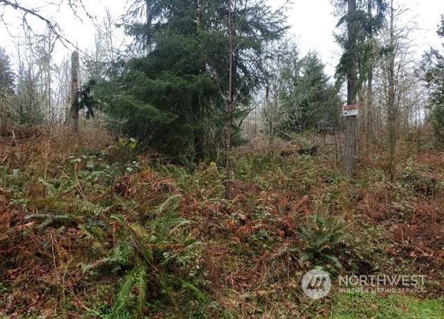 Property at 0 NE Union Hill Rd, Redmond, WA 98053