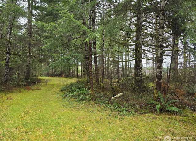 Property at 0 Lot 1&2 W Elk Hill Rd, Elma, WA 98541