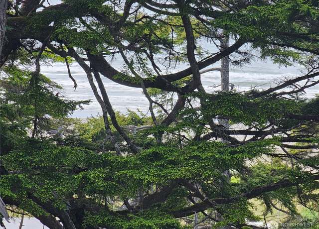 Property at 4128 St Route 109, Pacific Beach, WA 98571