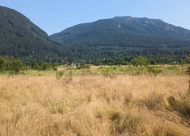 Property at 0 Lot B8C Lone Tree Rd, Randle, WA 98377