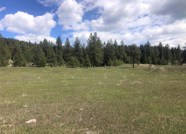Property at 0 Oroville Toroda Creek Rd, Oroville, WA 98844