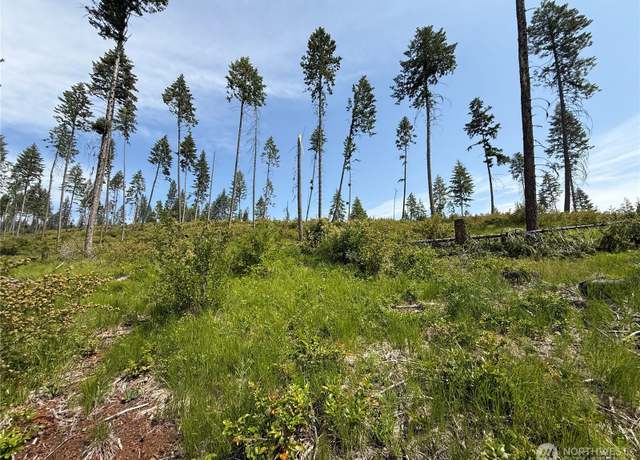 Property at 0 Lot 2 Rockabye Ln, Curlew, WA 99118