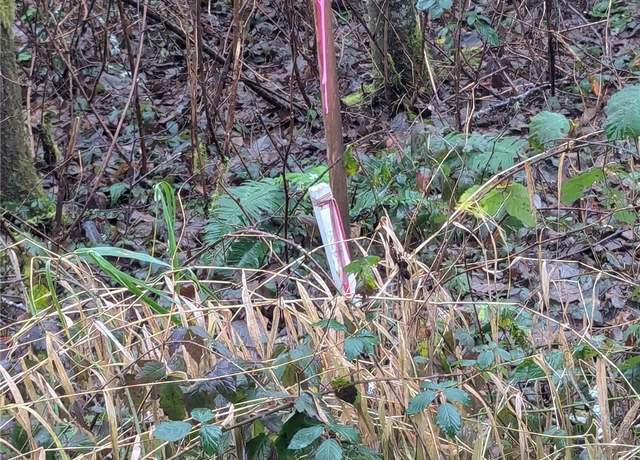 Property at 0 142ND Dr SE, Snohomish, WA 98290