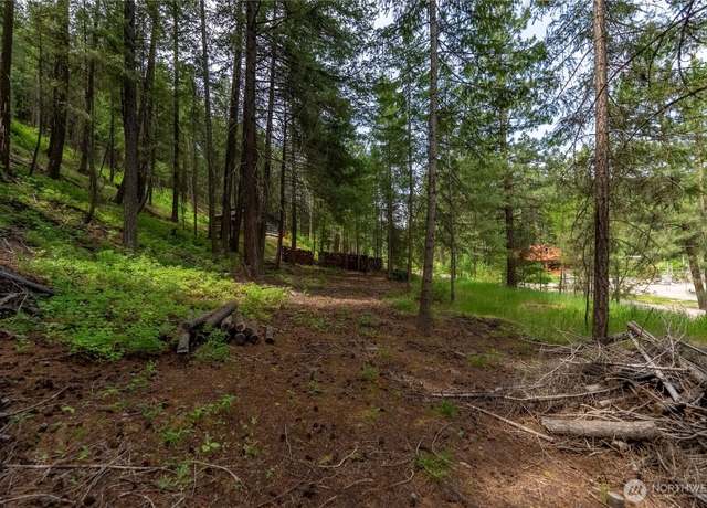 Property at 7 Howerton Rd, Twisp, WA 98856